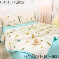 Đồ Dệt Gia Dụng Có Thể Giặt Bằng Máy Giặt Chăn Mát Mùa Hè  Chăn Ga Gối Đệm Mùa Hè Điều Hòa Đôi