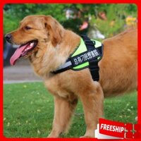 Đồ dùng chăm sóc thú cưng 🔖SALE  🔖 Dây xích chó kèm yếm - Yếm đai chó K9, khóa nhựa cao cấp siêu bền 7474