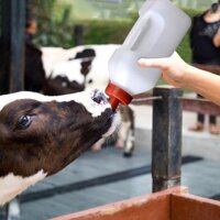 Đồ dùng gia cầm Bình sữa dê cho bé 2L Chai ươm di động cho bò Đồ dùng chăn nuôi Trang trại Dê Sữa ăn có tay cầm cho mèo con Chó con Thỏ Động vật nhỏ Hiệu quả
