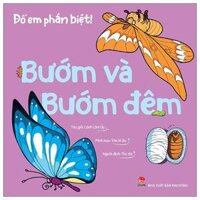 Đố Em Phân Biệt - Bướm Và Bướm Đêm