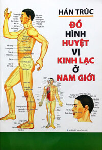 Đồ Hình Huyệt Vị Kinh Lạc Ở Nam Giới