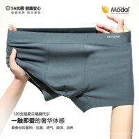 Đồ lót nam modal 120s cao cấp bán buôn, đồ lót nam bằng lụa dâu tằm kháng khuẩn, bán buôn WVOR