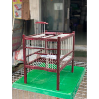 Đỏ mận]Lồng tắm gỗ chào mào,choè chắc chắn, đẹp Giang Jun-phụ kiện lồng chim