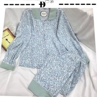 Đồ ngủ nữ pijama maingo cổ sen tay dơi thu đông-D008