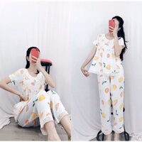 Đồ ngủ Tole TNQD