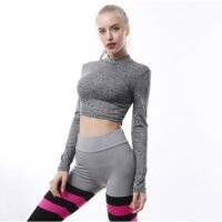 Đồ tập gym , bộ đồ tập thể thao nữ màu ghi quần phối kẻ ngang hồng đen trên đùi . ` "  `