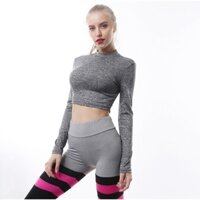 Đồ tập gym , bộ đồ tập thể thao nữ màu ghi quần phối kẻ ngang hồng đen trên đùi
