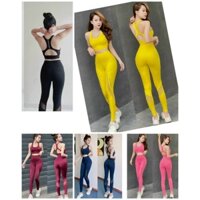 Đồ tập gym nữ phối lưới Lead, quần áo thể thao tập yoga erobic co giãn 4 chiều thấm hút tốt- D13 - Hàng mới về