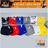 Đồ Tập Gym Yoga Nữ Áo Crop, Quần Đùi 2 Lớp Nhiều Màu Bin Sports Q030