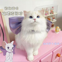 Đồ trang trí cho mèo Tom Dream Love Cat Cổ Đồ trang trí Nơ Ảnh Đạo cụ Mèo con Chó con Phụ kiện thú cưng Quà tặng