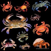 Đồ trang trí chụp ảnh thực phẩm hải sản mô hình cua nhân tạo mới, cua biển đỏ, cua xanh