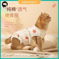 Đồ trang trí quần áo phẫu thuật cho mèo quần áo cho chó mèo