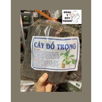 Đỗ trọng bổ thận tráng dương