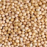 Đỗ tương, đậu nành Donavi