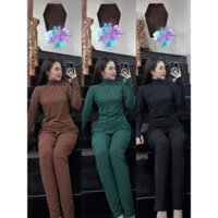 Đồ ủ kem thun lạnh, áo cổ lọ tay dài form ôm siêu mát - S12