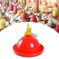 Đồ uống tự động Đồ dùng tưới nước Đồ dùng trang trại di động Bộ dụng cụ hộp đựng nước cho chim bồ câu gà mái