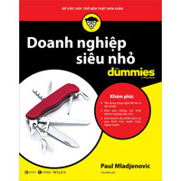 Doanh Nghiệp Siêu Nhỏ for Dummies