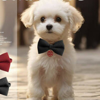 Dog Bow Tie Red Xi Character Clothes Cat Wedding Decoration Big Dog Labrador Golden Retriever Pet Decoration Collar qgXg