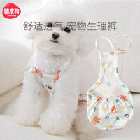 Dog Physical Pants Female and Dog Special Anti-Mating Harassment Artifact Sanitary Panty Small Dog Female Aunt Summer Thin hRHw