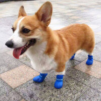 Dog Rain Boots Pet Water and Dirt Resistant Teddy Corgi Wear-Resistant Shoes Medium-Sized Dog Puppy Outing Shoe Cover Large Dog EimS