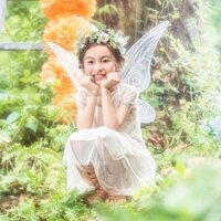 Đôi cánh tiên nhỏ trong suốt, đôi cánh thiên thần cho người lớn, đôi cánh công chúa tiên, đôi cánh bướm, phong cách rừng tiên cho trẻ em