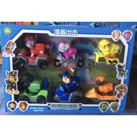 đội chó cứu hộ