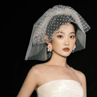 Đôi Ngắn Đậu Chấm Lưới Váy Cưới Mạng Lưới Nhỏ Cổ Áo Cưới Giấy Chứng Nhận Đăng Ký Cô Dâu Veil Mũ Đội Đầu Phụ Kiện20250325