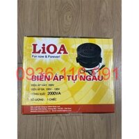 Đổi Nguồn Lioa 2000VA 2000W Chính Hãng Từ 220v Sang 110v & 100v