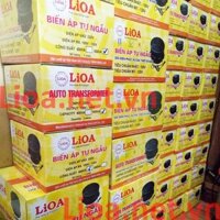 Đổi Nguồn Lioa 2000VA, Đổi Nguồn 2000W, Đổi Nguồn 2000VA Giá Tốt