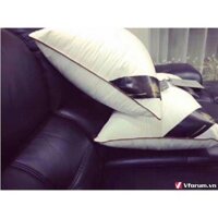 Đôi ruột gối Dubai Armani 50 x 70 cm,cao cấp mẫu 2019