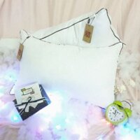 Đôi Ruột Gối MUJI NHẬP KHẨU HÚT CHÂN KHÔNG Nhập Khẩu