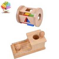 Đối tượng Montessori Treeyea Hộp vĩnh viễn, Đồ chơi vĩnh cửu đối tượng Montessori cho trẻ sơ sinh Đồ chơi bằng gỗ Hộp thả bóng có khay và 2 quả bóng