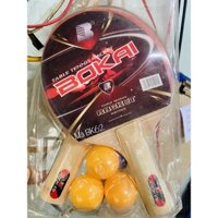 ĐÔI VỢT BÓNG BÀN LOẠI RẺ CHO HỌC SINH TẬP CHƠI
