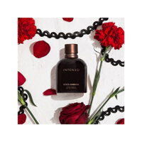 Dolce & Gabbana Pour Homme Intenso