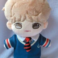 Doll Jimin 20cm + outfit