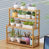 Đơn giản ban công hoa giá trong nhà nhiều lớp phòng khách hộ gia đình có giá đựng đồ mọng nước pothos chậu hoa giá trang