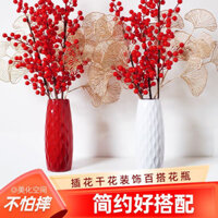Đơn Giản Giả Gốm Sứ Bình Nhựa Thủy Canh Bạc Phi Lê Hoa Bình Hoa Giả Hoa Sắp Xếp Bình Để Bàn Trang Trí Phòng Khách Đồ Trang Trí