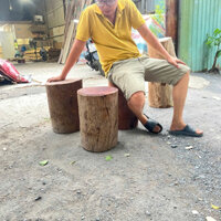 Đôn Gỗ Thân Cây Decor Trang Trí, Đôn Khúc Gỗ Nguyên Khối Tự Nhiên ( Gỗ Xà Xừ Siêu Bền)