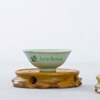 Đôn gỗ tròn bonsai, đế gỗ tròn mini để chậu cây cảnh, bonsai mini,tượng gốm, ấm trà,...bằng gỗ thịt