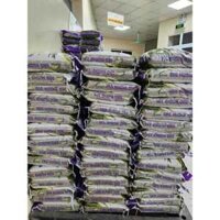 Đơn sỉ 30Kg gạo nương tím Tây Bắc