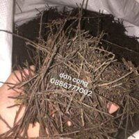 Dớn sợi trồng lan (Combo 300k = Bao 10kg)