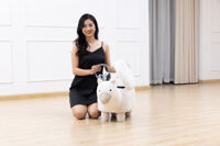 Đôn thú cừu alpaca có nắp