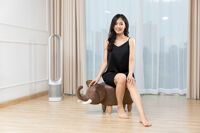 Đôn thú hình chú voi 01