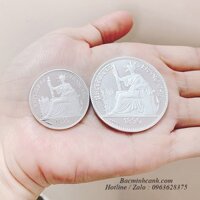 Đồng Bạc Hoa Xòe Đông Dương DX008