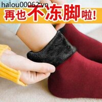 Đông Bắc Lông Cừu Dày Tất Nam Mùa Đông Ấm Siêu Dày Len Tất Vớ Tuyết Tất Cotton Tất Người Cao Tuổi Tất Nữ