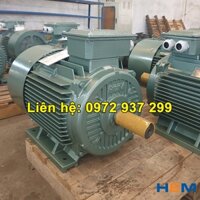 Động cơ 3 pha Điện Cơ Hà Nội