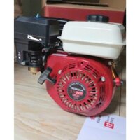 Động Cơ 5.5 NGỰA CỐT THẲNG HONDA GX160 mới 💯 hàng nhập thái giá rẻ chuyên chạy xuồng, xịt thuốc...