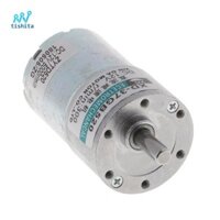 Động cơ bánh răng điện DC12V 300RPM Trục 6mm Tốc độ mô-men xoắn cao Giảm động cơ bánh răng