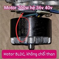 Động cơ BLDC máy cắt cỏ Ryobi, 700w, không chổi than 700w, máy cưa 800w