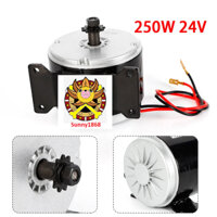 Động cơ chổi than Xe điện Scooter 24V 250W Động cơ giảm tốc Động cơ DIY Xe điện E-Bike MY1016
